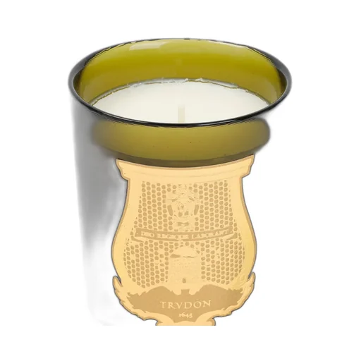 Cire Trudon Scented Candle