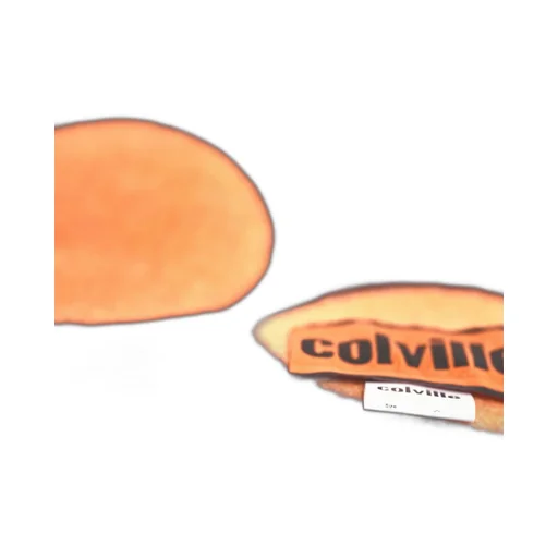 Colville Polka Dot Blanket