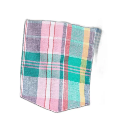 Comme Des GarÇOns Shirt Checked Shirt