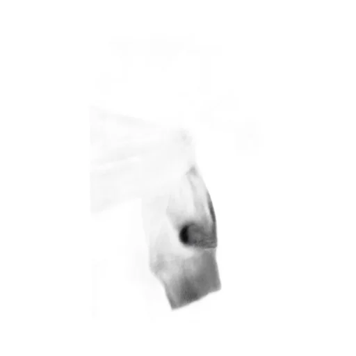 Comme Des GarÇOns Shirt Long-Sleeved Drawstring Hoodie