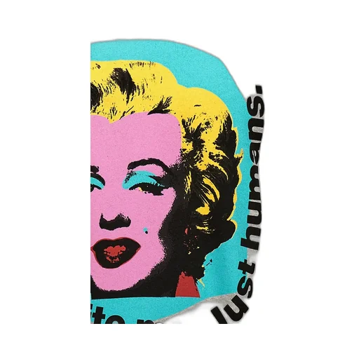 Comme Des GarÇOns Shirt Andy Warhol Printed Sweatshirt