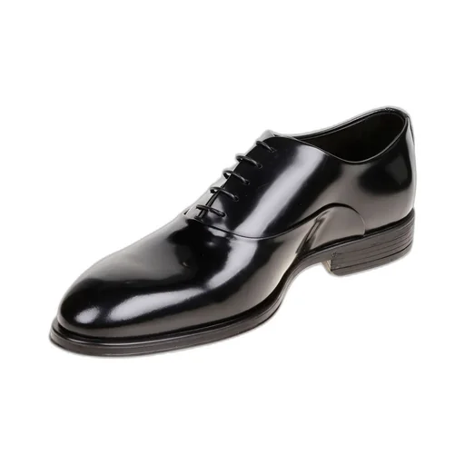 Corvari Classic Lace-Up Shoes