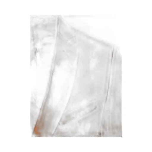 Costumein Blazer Jacket