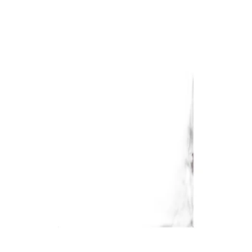 CourrÈGes Zipped Poplin Shirt