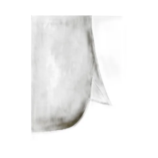 Max Mara Buttoned Short-Sleeved Shirt