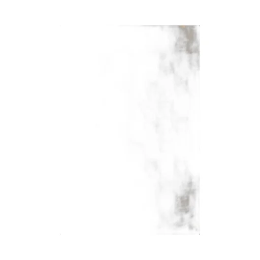 Max Mara Logo Patterned Fringed Edge Foulard