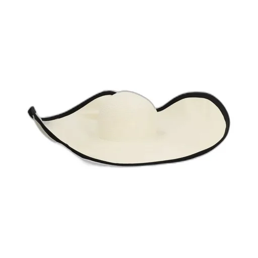 Max Mara Robert Wide Brim Hat