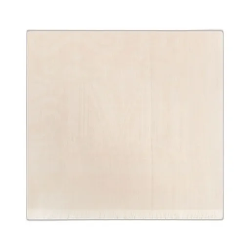 Max Mara Logo Detailed Fringed Edge Scarf