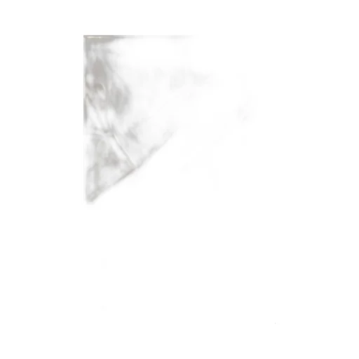 Max Mara Logo Detailed Fringed Edge Scarf