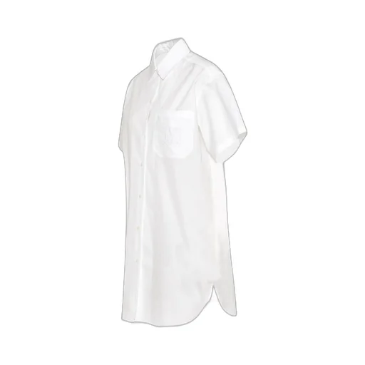 Max Mara Short Sleeved Shirt Dress