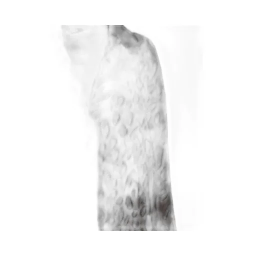 Max Mara Atelier Single-Breasted Spotted Velvet Coat