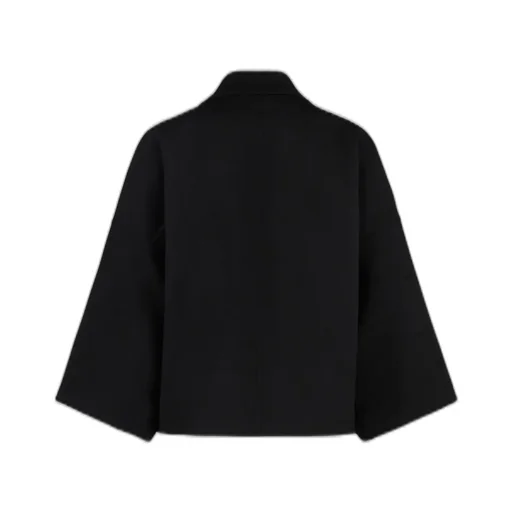 Max Mara V-Neck Single-Breasted Jacket