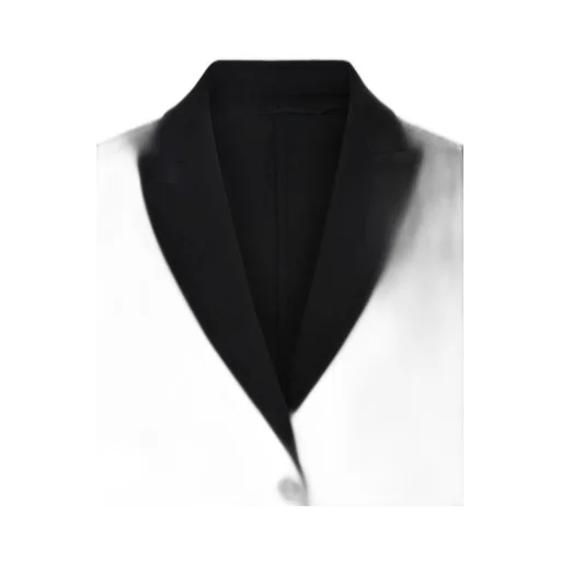 Max Mara V-Neck Single-Breasted Jacket