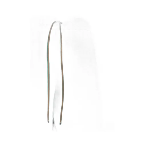 Max Mara Eolie Drawstring Pants