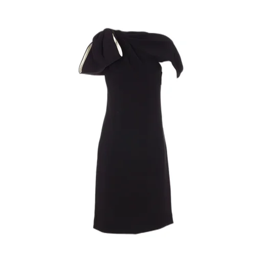 Max Mara Pianoforte Baldi Bow Detailed Mini Dress
