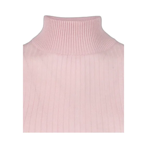 Max Mara Studio Jnagy Turtleneck Knitted Jumper