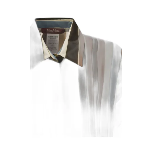 Max Mara Studio Arpe Striped Shirt