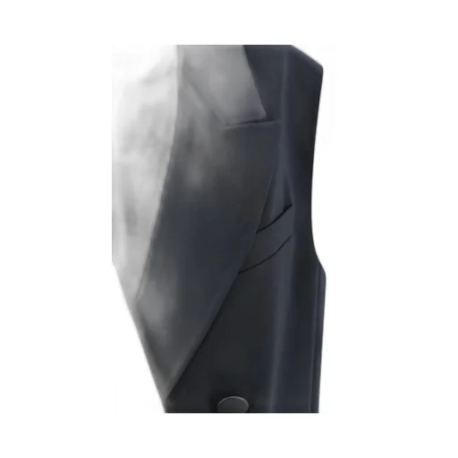 Max Mara Studio Pomez Double-Breasted Gilet