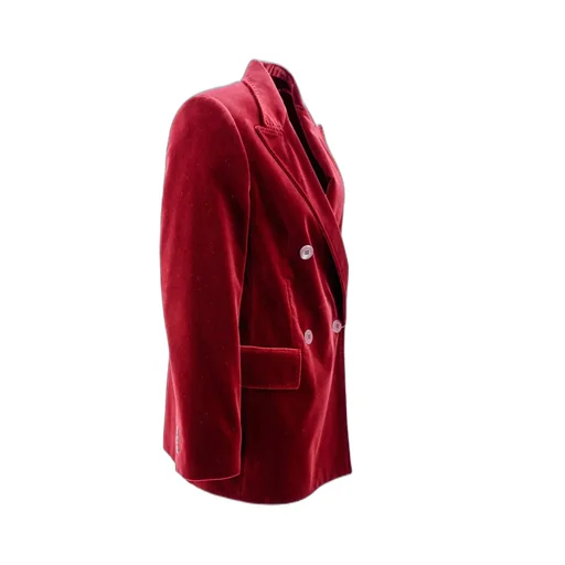 Max Mara Studio Digione Double-Breasted Long-Sleeved Jacket