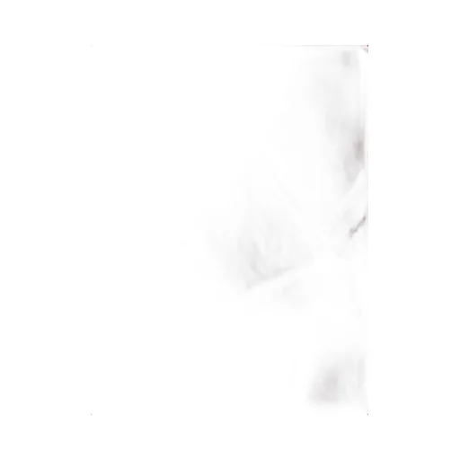 Max Mara Rivera Sheer Scarf