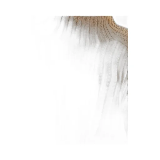 Max Mara Hodeida High Neck Cropped Cardigan