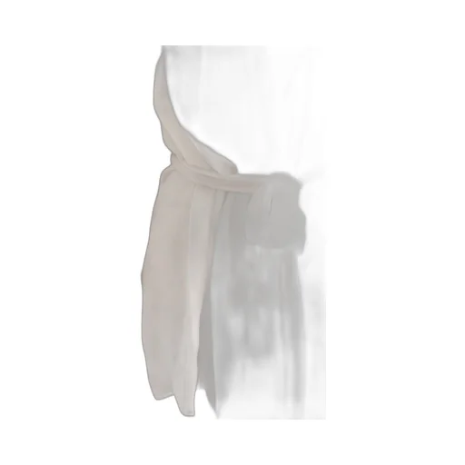 Max Mara Hooded Chiffon Jacket