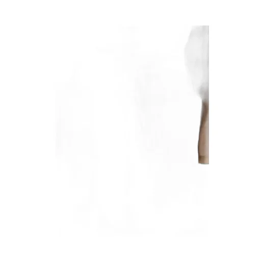 Max Mara Glassa Long Coat