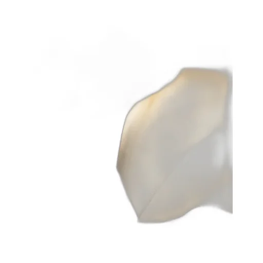 Max Mara Logo Detailed Scarf