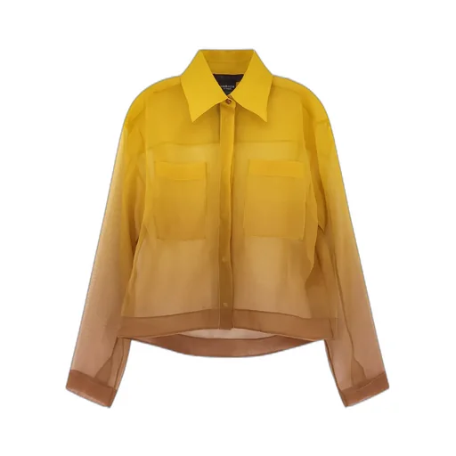 Max Mara Davina Organza Gradient Shirt