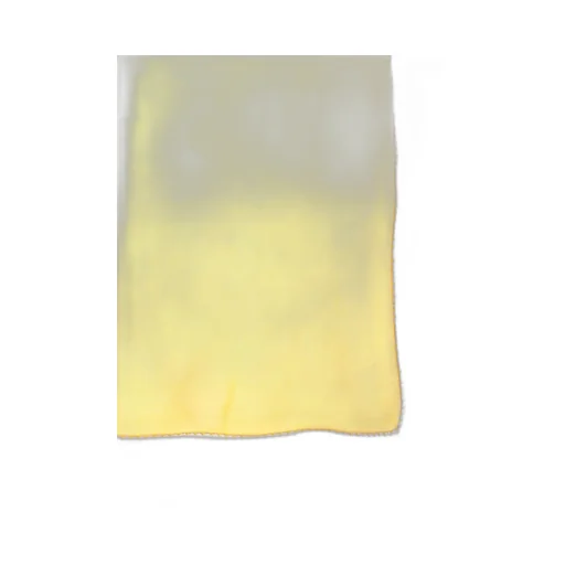 Max Mara Rivera Scarf