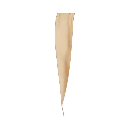 Loewe Cropped Trousers