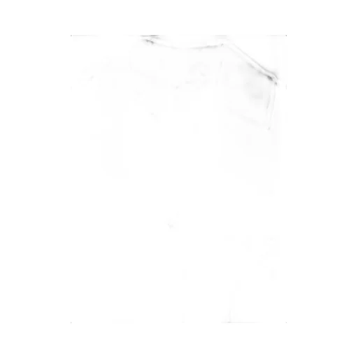 Max Mara Girino Button-Up Jacket