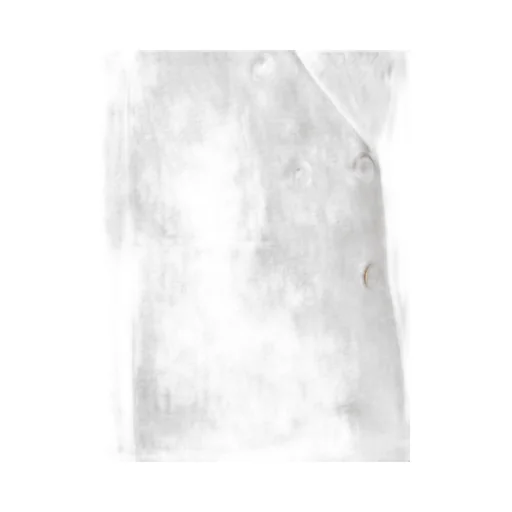 Max Mara Targa Double-Breasted Long-Sleeved Jacket
