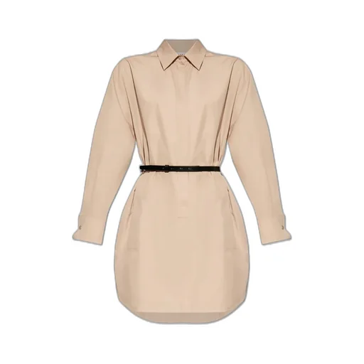 Max Mara Alcade Long-Sleeved Shirt Dress