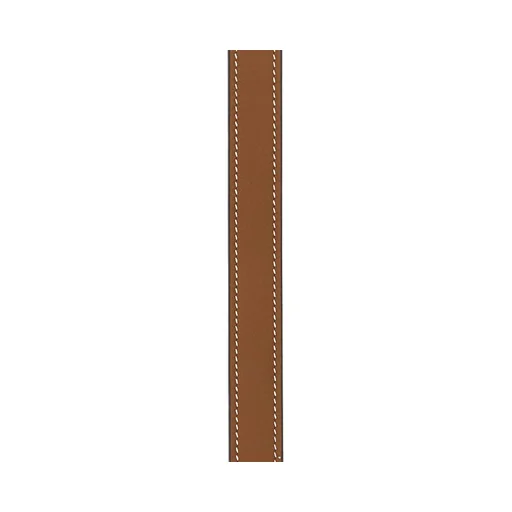Gucci Blondie Thin Belt