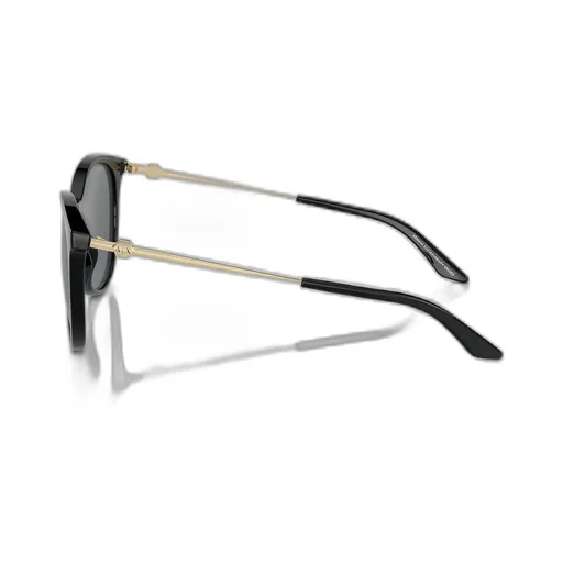 Armani Exchange Oval Frame Sunglasses