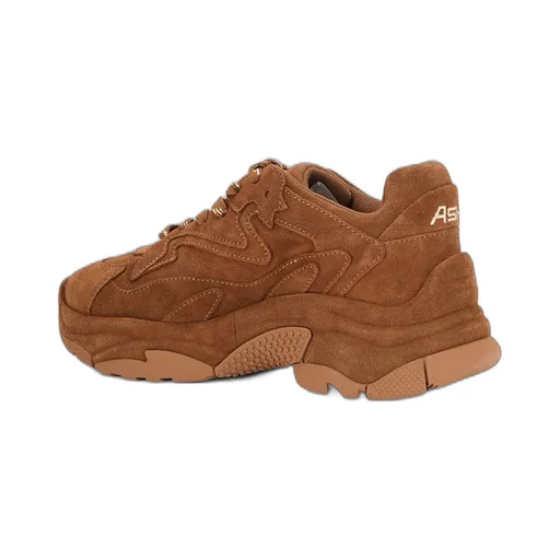 Ash Addict Lace-Up Sneakers