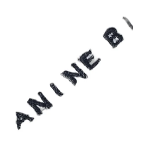 Anine Bing Elia Logo Embroidered Beanie