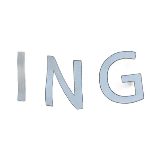 Anine Bing Leo Tote Bag