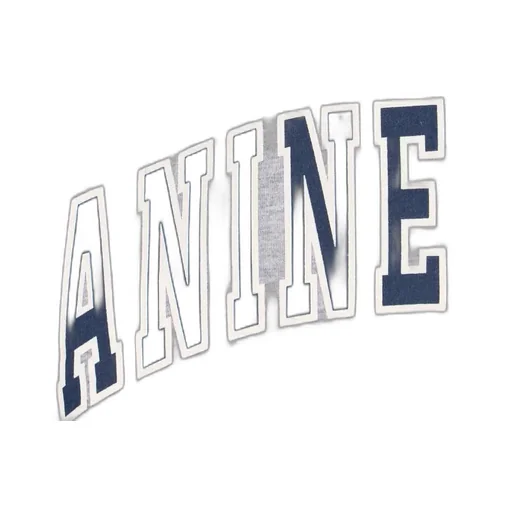 Anine Bing Spencer Logo-Printed Sweatshirt