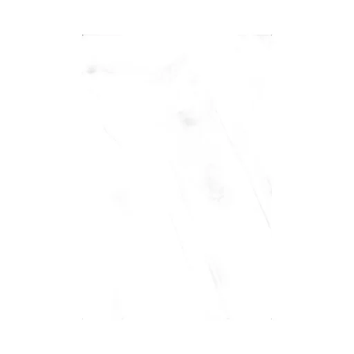 Anine Bing Short-Sleeved Striped T-Shirt