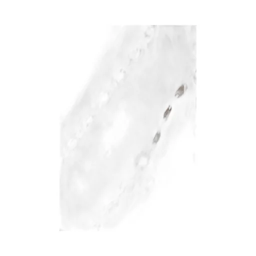 Anine Bing Lincoln Eyelet Cropped Top