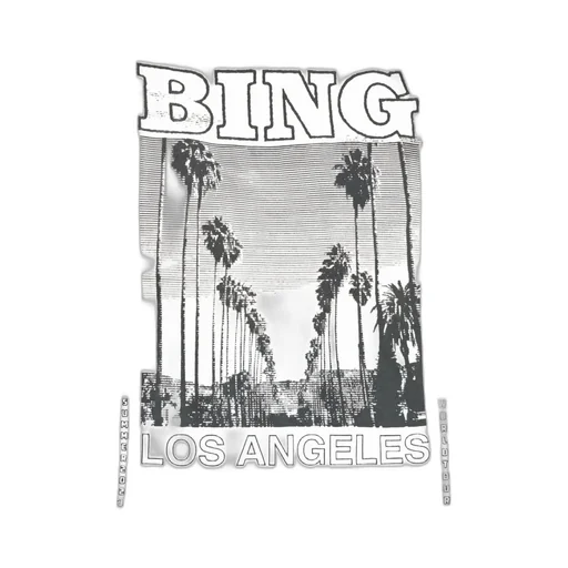 Anine Bing Louis Crewneck T-Shirt