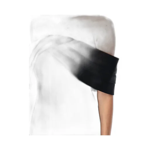 Anine Bing Fleur Off-Shoulder Dress
