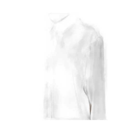 Anine Bing Braxton Buttoned Shirt
