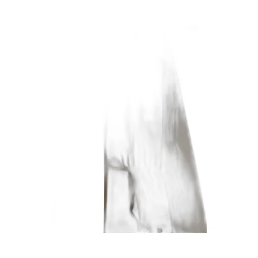 Aniye By Hooded Utility Coat
