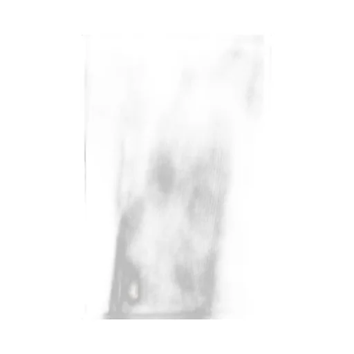 Ann Demeulemeester Mara Wrinkled Cropped Tank Top