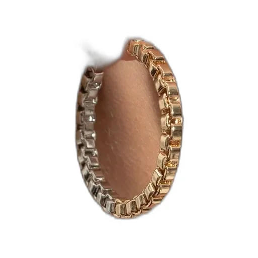Allsaints Chain-Link Hoop Earrings