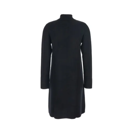 Allude Turtleneck Wool Dress