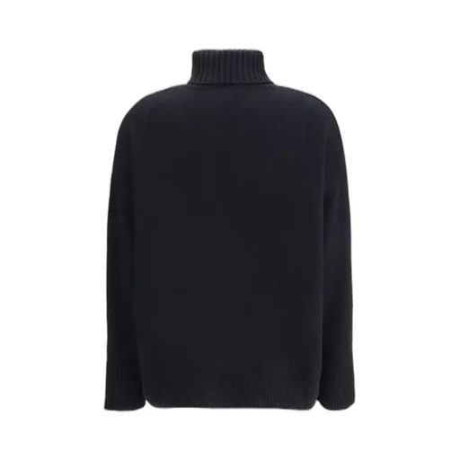 Allude Cashmere Turtleneck Knitwear